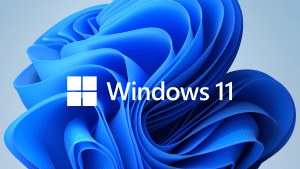 How to Install Windows 11